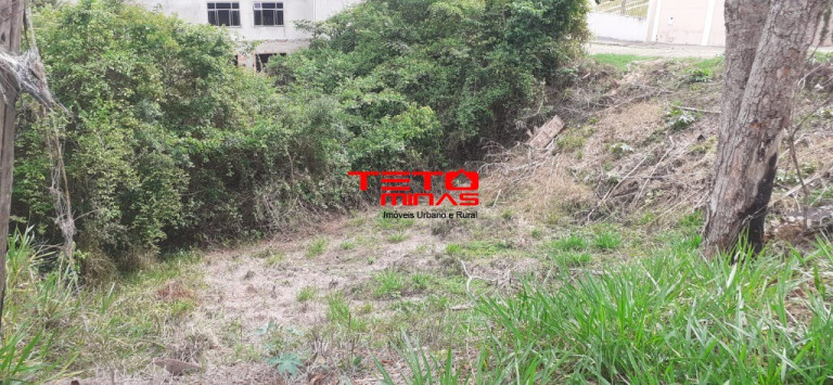 Imagem Terreno à Venda, 340 m² em Bairro Mirante - São Lourenço Imagem Terreno à Venda, 340 m² em Bairro Mirante - São Lourenço