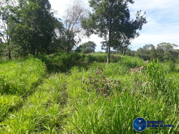 Imagem Chácara à Venda, 3 m² em Setor Central - Itapuranga Imagem Chácara à Venda, 3 m² em Setor Central - Itapuranga