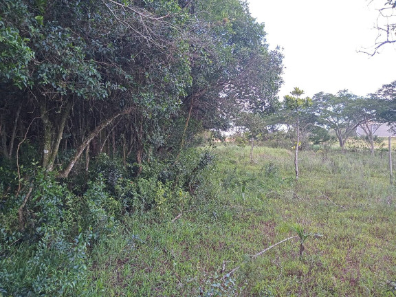 Imagem Chácara à Venda, 20.000 m² em águas Claras - Viamão