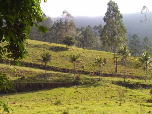 Imagem Fazenda à Venda, 600 m² em Lagoa - Paraibuna