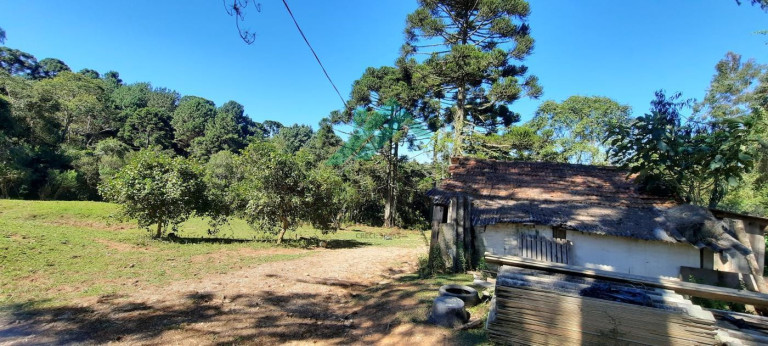 Imagem Chácara com 2 Quartos à Venda, 60 m² em Serra Do Araçatuba - Tijucas Do Sul Imagem Chácara com 2 Quartos à Venda, 60 m² em Serra Do Araçatuba - Tijucas Do Sul