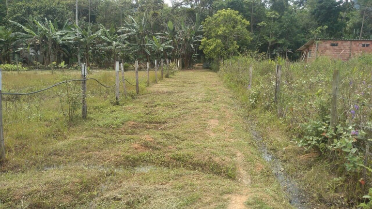 Imagem Chácara com 1 Quarto à Venda, 1.000 m² em Praia Da Maranduba - Ubatuba