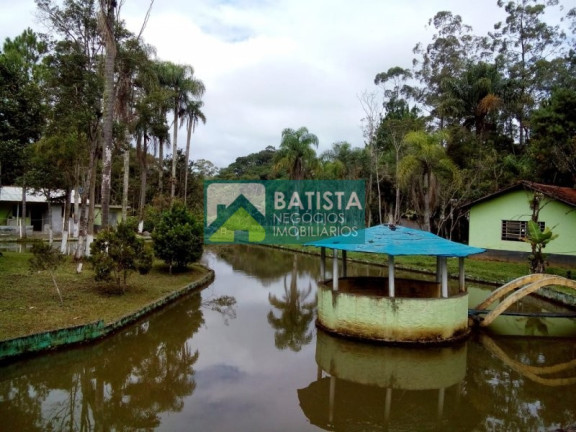 Imagem Imóvel com 5 Quartos à Venda, 6.800 m² em Tatetos - São Bernardo Do Campo