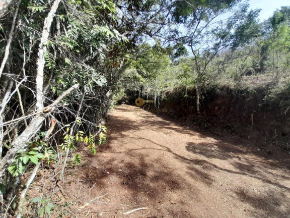 Imagem Terreno à Venda, 1.638 m² em Prata - Teresópolis Imagem Terreno à Venda, 1.638 m² em Prata - Teresópolis