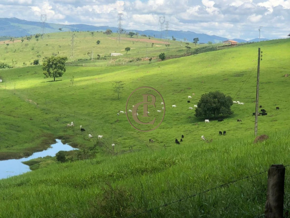 Imagem Fazenda à Venda, 6.000 m² em Chacara Do Moinho - Cachoeira Paulista