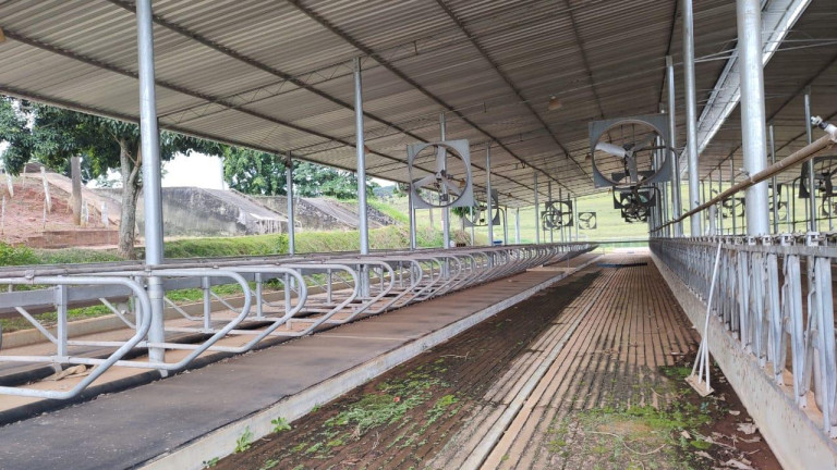 Imagem Fazenda à Venda, 64 m² em Rural - Itapetininga