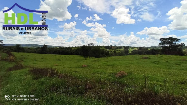 Imagem Fazenda à Venda, 21 m² em Zona Rural - Hidrolândia Imagem Fazenda à Venda, 21 m² em Zona Rural - Hidrolândia