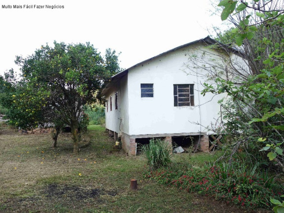 Imagem Imóvel com 2 Quartos à Venda, 100 m² em Linha Olinda - Nova Petrópolis Imagem Imóvel com 2 Quartos à Venda, 100 m² em Linha Olinda - Nova Petrópolis