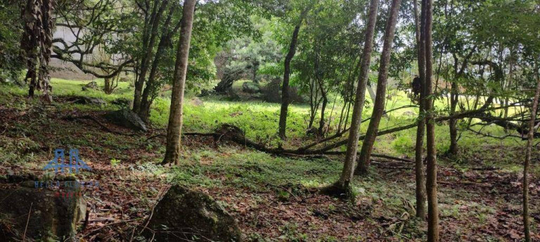 Imagem Terreno à Venda, 471 m² em Córrego Grande - Florianópolis