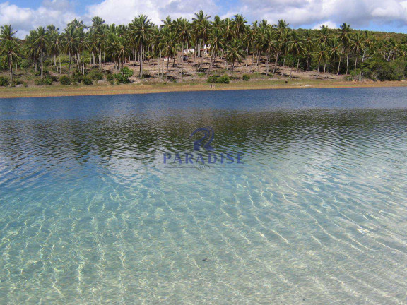 Imagem Terreno à Venda, 653.000 m² em Subauma - Entre Rios Imagem Terreno à Venda, 653.000 m² em Subauma - Entre Rios