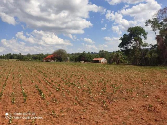 Imagem Imóvel com 2 Quartos à Venda, 96.800 m² em Rural - Japira Imagem Imóvel com 2 Quartos à Venda, 96.800 m² em Rural - Japira