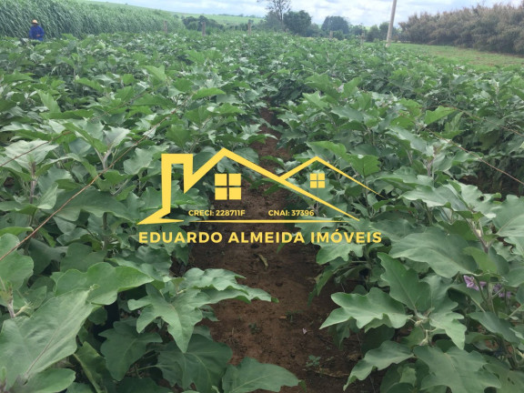 Imagem Imóvel com 2 Quartos à Venda, 2 m² em Centro - Gramadinho