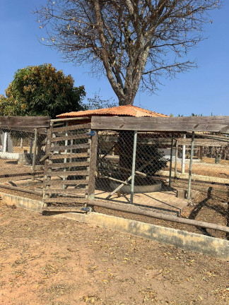 Imagem Chácara com 3 Quartos à Venda, 2.300 m² em Pedras - Itatiaiuçu Imagem Chácara com 3 Quartos à Venda, 2.300 m² em Pedras - Itatiaiuçu