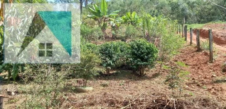 Casa à Venda,  em Cidade Tamboré - Santana De Parnaíba