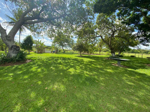 Imagem Imóvel com 4 Quartos à Venda, 30.500 m² em Cachoeira - Salvador