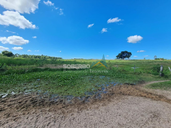 Imagem Imóvel com 2 Quartos à Venda, 2.516.800 m² em Banqueiros - Araruama Imagem Imóvel com 2 Quartos à Venda, 2.516.800 m² em Banqueiros - Araruama