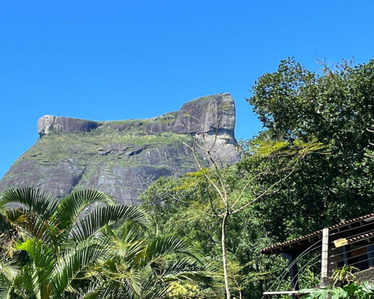 Casa com 4 Quartos à Venda, 250 m² em São Conrado - Rio De Janeiro