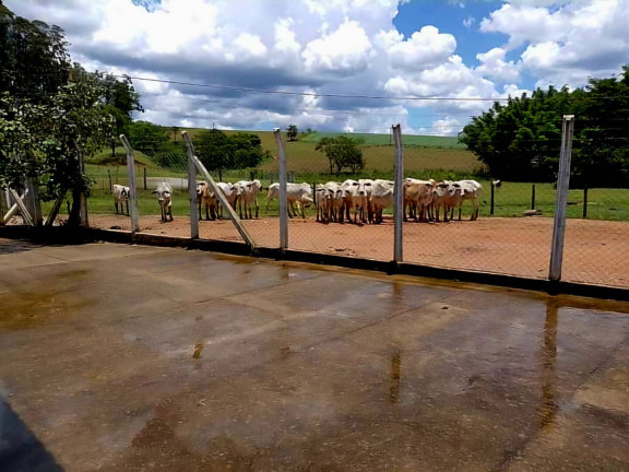 Imagem Chácara à Venda, 15 m² em Andradas Imagem Chácara à Venda, 15 m² em Andradas