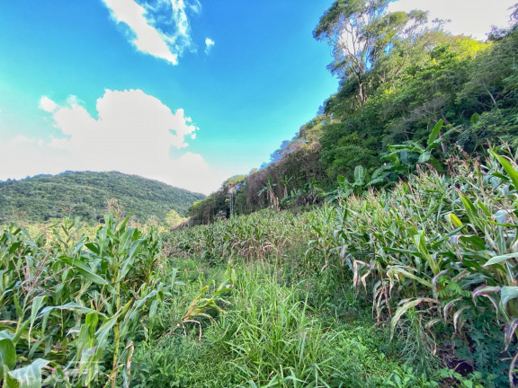 Imagem Chácara com 4 Quartos à Venda, 120.000 m² em Centro - Santa Maria Do Herval Imagem Chácara com 4 Quartos à Venda, 120.000 m² em Centro - Santa Maria Do Herval