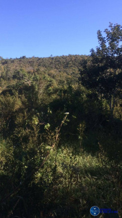 Imagem Chácara à Venda, 24 m² em Zona Rural - Jaraguá Imagem Chácara à Venda, 24 m² em Zona Rural - Jaraguá