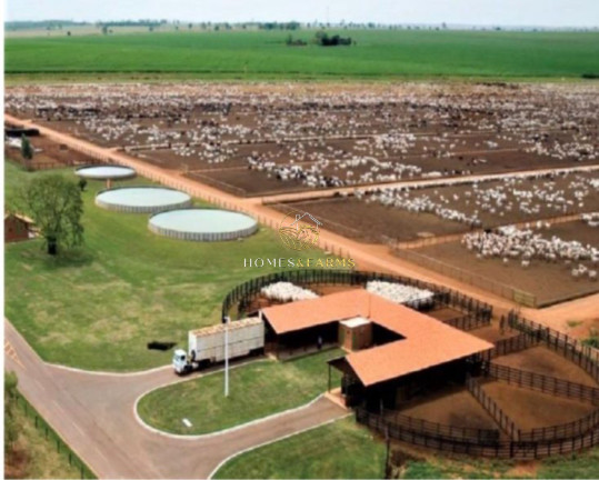 Imóvel com 3 Quartos à Venda, 135.000 m² em Zona Rural - São Miguel Do Araguaia
