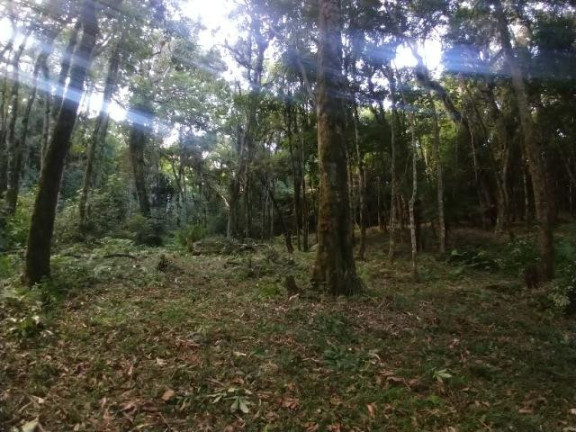 Imagem Terreno à Venda, 9.100 m² em Campestre Da Faxina - São José Dos Pinhais