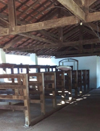 Imagem Fazenda à Venda, 300.000 m² em Santana - Bragança Paulista Imagem Fazenda à Venda, 300.000 m² em Santana - Bragança Paulista
