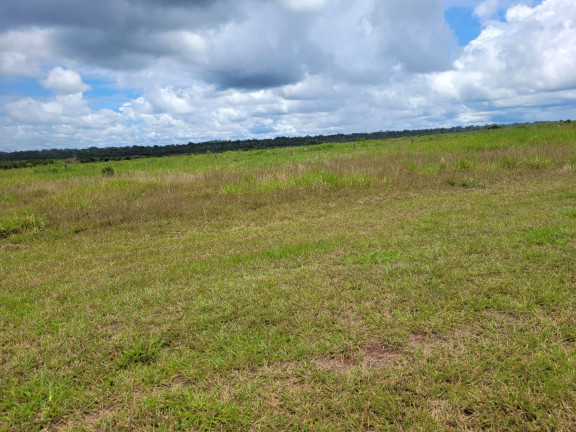 Imagem Imóvel à Venda, 14.462 m² em área Rural De Matupa - Matupa Imagem Imóvel à Venda, 14.462 m² em área Rural De Matupa - Matupa