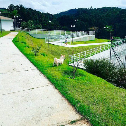 Imagem Casa com 3 Quartos à Venda, 312 m² em Sítio Do Morro - Santana De Parnaíba Imagem Casa com 3 Quartos à Venda, 312 m² em Sítio Do Morro - Santana De Parnaíba