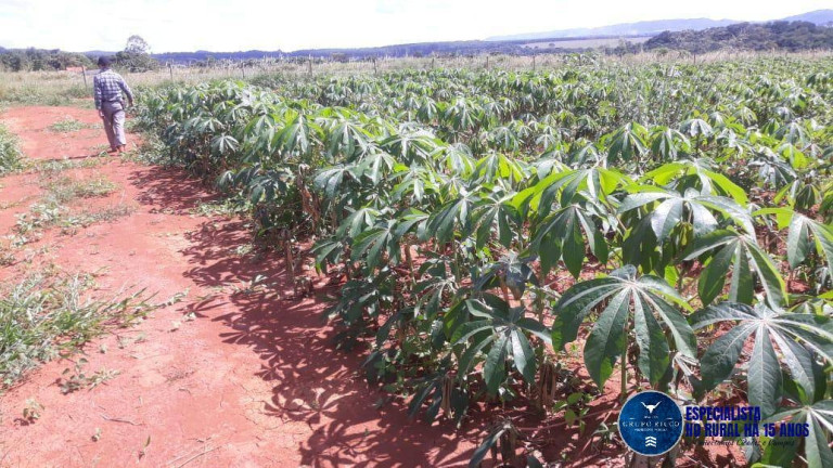 Imagem Chácara à Venda, 1 m² em Zona Rural - Itaberaí Imagem Chácara à Venda, 1 m² em Zona Rural - Itaberaí