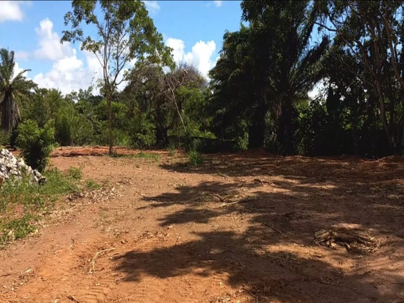 Imagem Imóvel à Venda, 4.500 m² em Estrada Do Coco - Lauro De Freitas Imagem Imóvel à Venda, 4.500 m² em Estrada Do Coco - Lauro De Freitas