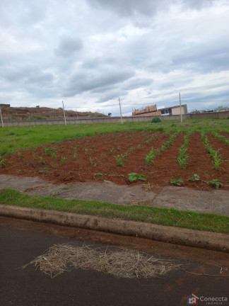Imagem Terreno à Venda, 364 m² em Alto Dos Caiçaras - Patos De Minas