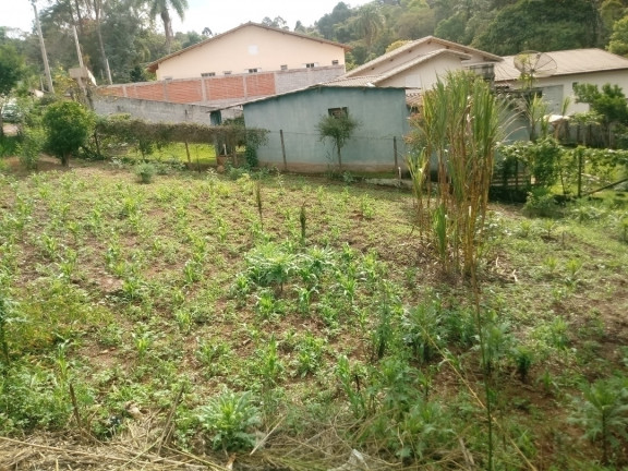 Imagem Terreno à Venda, 317 m² em Jardim Tercasa - Mairiporã