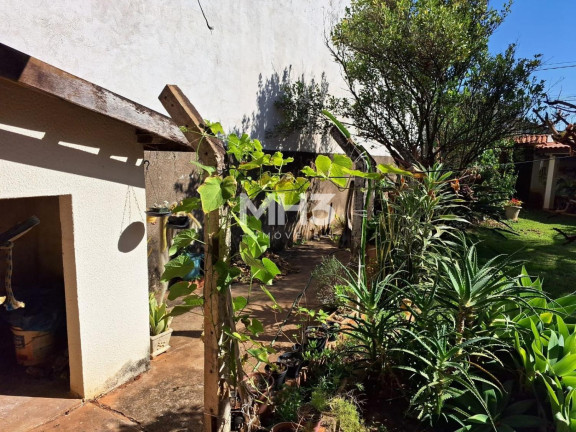 Imagem Terreno à Venda, 272 m² em Jardim Residencial Veccon - Sumaré Imagem Terreno à Venda, 272 m² em Jardim Residencial Veccon - Sumaré