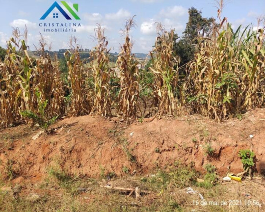 Imagem Terreno à Venda, 250 m² em Nova Trieste - Jarinu Imagem Terreno à Venda, 250 m² em Nova Trieste - Jarinu