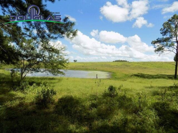 Imagem Chácara com 2 Quartos à Venda, 190.000 m² em Viamão