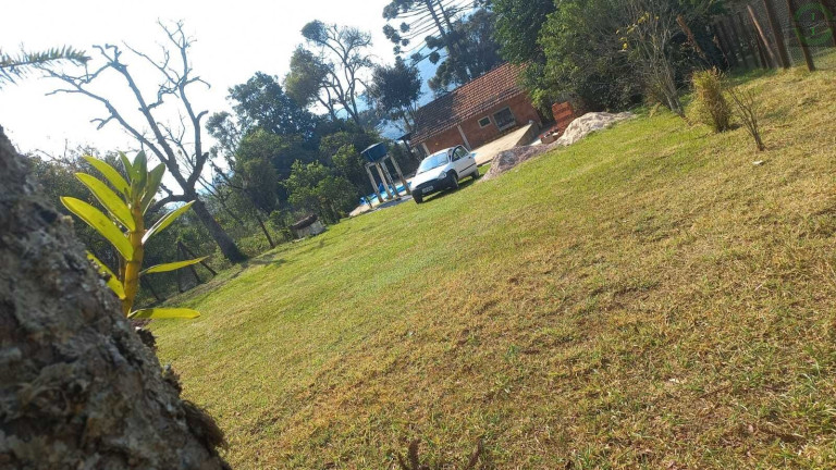 Imagem Imóvel com 2 Quartos à Venda, 857 m² em Centro - Ponta Grossa Imagem Imóvel com 2 Quartos à Venda, 857 m² em Centro - Ponta Grossa