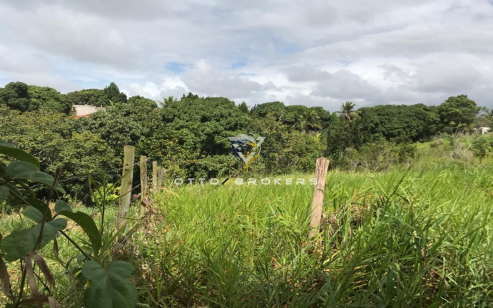 Imagem Terreno à Venda, 7.500 m² em Tânia - Santa Cruz Cabrália