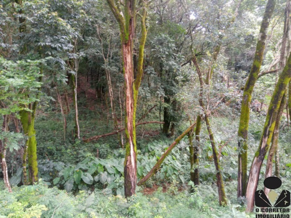 Imagem Imóvel com 4 Quartos à Venda, 11.000 m² em Quintas Da Serra - Caeté Imagem Imóvel com 4 Quartos à Venda, 11.000 m² em Quintas Da Serra - Caeté