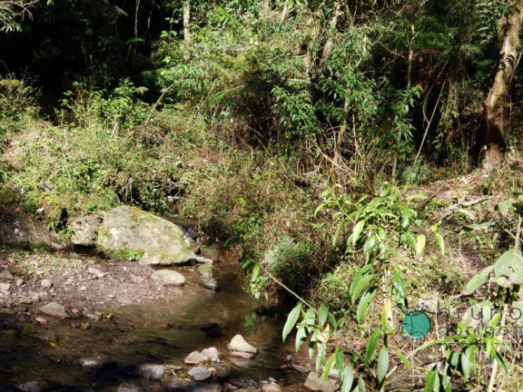 Imagem Imóvel à Venda, em Zona Rural - Alfredo Wagner Imagem Imóvel à Venda, em Zona Rural - Alfredo Wagner