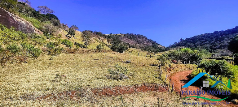 Imagem Chácara à Venda, 20 m² em Centro - Paraisópolis