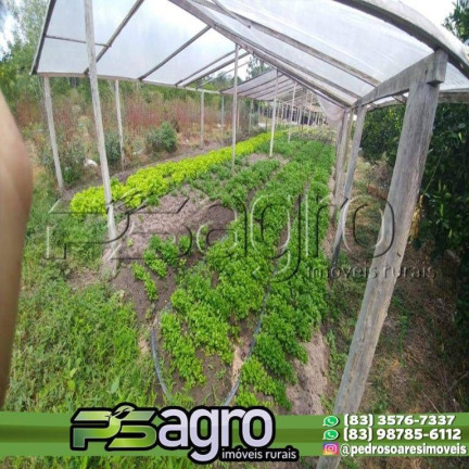 Imagem Fazenda à Venda, 45.000.000 m² em Alto Do Pinho - São Luís Imagem Fazenda à Venda, 45.000.000 m² em Alto Do Pinho - São Luís