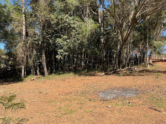 Imagem Imóvel Comercial à Venda, 3.600 m² em Marques - Brumadinho Imagem Imóvel Comercial à Venda, 3.600 m² em Marques - Brumadinho