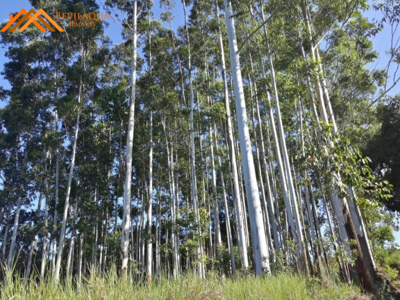 Imagem Terreno à Venda, 6 m² em Costa De Baixo - Imarui