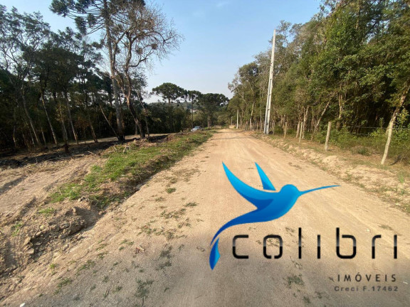 Imagem Terreno à Venda, 2.141 m² em Leão - Agudos Do Sul Imagem Terreno à Venda, 2.141 m² em Leão - Agudos Do Sul