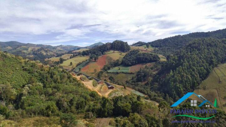 Imagem Terreno à Venda, 113.740 m² em Centro - Gonçalves