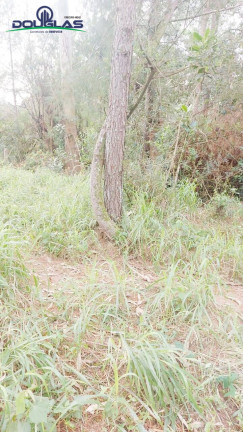 Imagem Terreno à Venda,  em águas Claras - Viamão