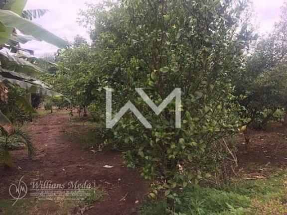 Imagem Chácara com 3 Quartos à Venda, 250 m² em Bairro Da Usina - Bragança Paulista Imagem Chácara com 3 Quartos à Venda, 250 m² em Bairro Da Usina - Bragança Paulista