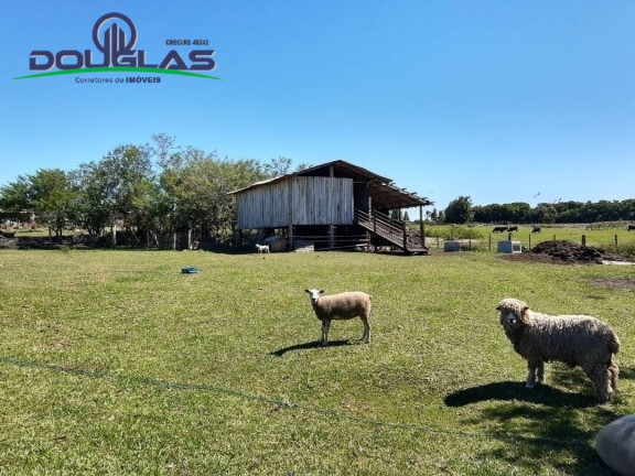 Imagem Chácara à Venda,  em águas Claras - Viamão