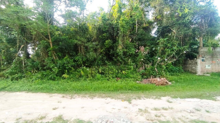 Imagem Chácara à Venda, 1.000 m² em Parque Novaro Itanhaém - Itanhaém Imagem Chácara à Venda, 1.000 m² em Parque Novaro Itanhaém - Itanhaém